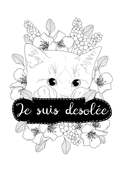 Je suis d&eacute;sol&eacute;e, avec un chat mignon